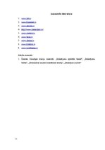 Referāts 'Norēķini ar maksājuma kartēm interneta vidē', 11.