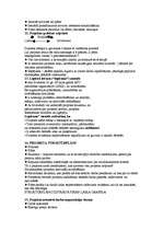 Konspekts 'Projektu vadība', 4.