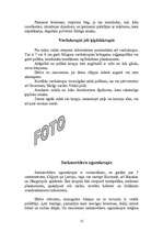 Konspekts 'Abinieki', 12.