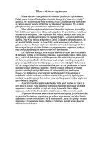 Eseja 'Mans nākotnes uzņēmums', 1.