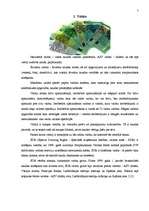 Referāts 'Starptautiskā valūtas sistēma. Valūta, tās veidi, tirgus, kurss', 7.