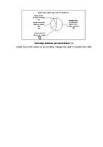 Referāts 'Starptautiskā valūtas sistēma. Valūta, tās veidi, tirgus, kurss', 30.