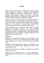 Konspekts 'Muzejs, muzeju tipi, funkcijas', 1.