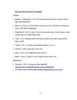 Referāts 'Intervijas satura atšķirības žurnālos "Ieva" un "Klubs"', 17.