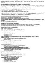 Konspekts 'Starptautiskās cilvēktiesības', 7.