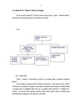 Prakses atskaite 'Finanšu analīze SIA "T"', 5.