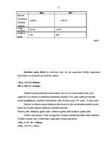 Prakses atskaite 'Finanšu analīze SIA "T"', 12.