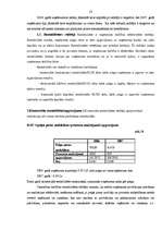 Prakses atskaite 'Finanšu analīze SIA "T"', 13.