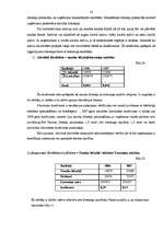 Prakses atskaite 'Finanšu analīze SIA "T"', 16.