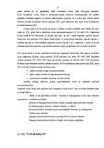 Prakses atskaite 'Finanšu analīze SIA "T"', 21.