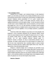 Prakses atskaite 'Finanšu analīze SIA "T"', 28.