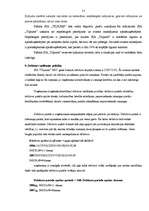 Prakses atskaite 'Finanšu analīze SIA "T"', 31.