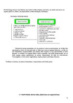 Referāts 'Personāla vadība', 13.