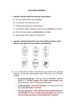 Konspekts 'Dzimumšūnu dalīšanās', 1.