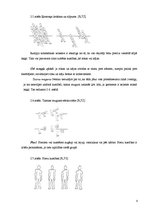 Referāts 'Mūsdienu dejas popularitāte Jelgavas Valsts ģimnāzijas vidusskolēnu vidū', 8.