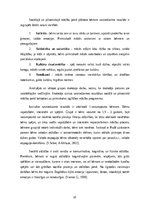 Prakses atskaite 'Agrīnās bērnības prakses darbs', 10.