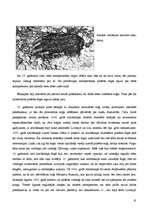 Referāts 'Viduslaiku Rīgas pārvalde, cīņa par ietekmi', 17.