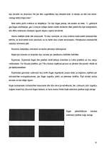 Referāts 'Viduslaiku Rīgas pārvalde, cīņa par ietekmi', 20.