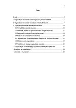 Referāts 'Organizāciju uzbūves veidi', 2.