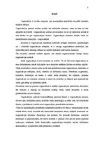 Referāts 'Organizāciju uzbūves veidi', 3.