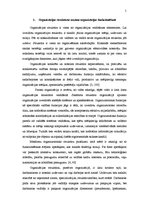 Referāts 'Organizāciju uzbūves veidi', 5.