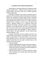 Referāts 'Organizāciju uzbūves veidi', 7.
