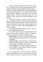 Referāts 'Organizāciju uzbūves veidi', 8.