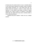 Referāts 'Organizāciju uzbūves veidi', 13.