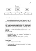 Referāts 'Organizāciju uzbūves veidi', 14.