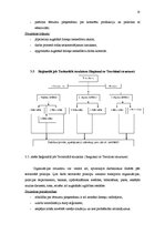 Referāts 'Organizāciju uzbūves veidi', 18.