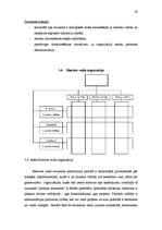 Referāts 'Organizāciju uzbūves veidi', 19.