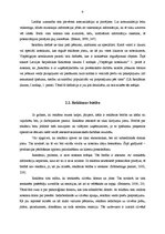Referāts 'Reklāmas faktoru ietekme uz pircējiem veikalā "Sidonas"', 7.