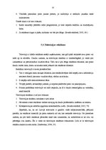 Referāts 'Reklāmas faktoru ietekme uz pircējiem veikalā "Sidonas"', 21.