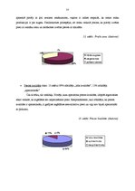 Referāts 'Reklāmas faktoru ietekme uz pircējiem veikalā "Sidonas"', 33.