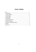 Referāts 'Jauniešu slengs', 2.