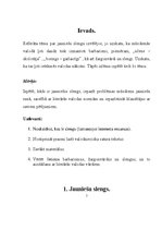 Referāts 'Jauniešu slengs', 3.