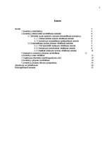 Referāts 'Reālo investīciju projektu lēmumu pieņemšana', 2.