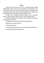 Referāts 'Reklāmas politika tirdzniecības uzņēmumā', 2.