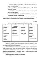 Referāts 'Reklāmas politika tirdzniecības uzņēmumā', 5.