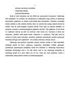 Referāts 'Reklāmas politika tirdzniecības uzņēmumā', 6.