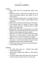 Referāts 'Reklāmas politika tirdzniecības uzņēmumā', 28.