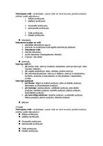 Konspekts 'Žurnālistika', 4.