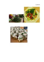 Eseja 'Eseja par studiju kursa "Ievads izglītībā ilgtspējīgai attīstībai" veicinātajām ', 6.