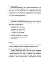 Referāts 'Nozares analīze "Pirmsskolas izglītība" ', 5.