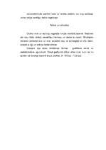 Referāts 'Sociālā struktūra Grieķijā un dzīvesveida raksturojums', 10.