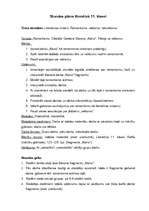 Konspekts 'Stundas plāns literatūrā 11.klasei', 1.