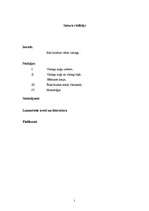 Referāts 'Vēsturiskie Vikingu kuģi', 2.