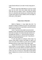 Referāts 'Vēsturiskie Vikingu kuģi', 4.