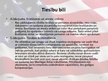 Prezentācija 'ASV konstitūcijas īss apraksts', 15.
