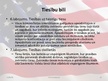 Prezentācija 'ASV konstitūcijas īss apraksts', 16.